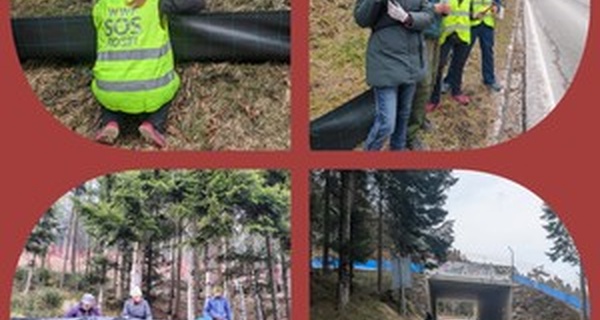 Il primo montaggio delle barriere a Malga Laghetto!