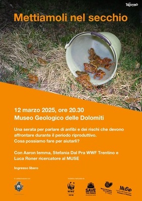 Serata a Predazzo