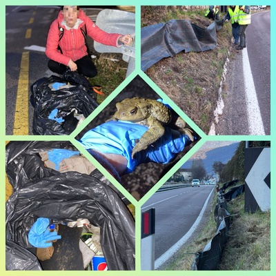 Rospisti al lavoro al lago di Loppio