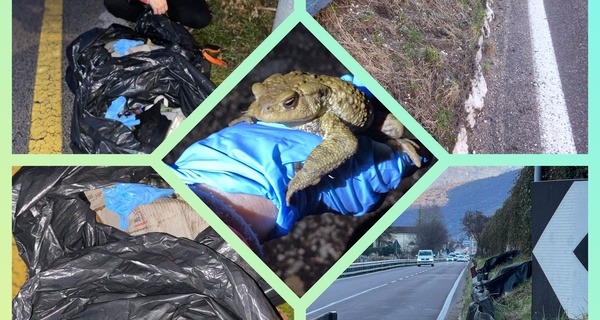 Rospisti al lavoro al lago di Loppio