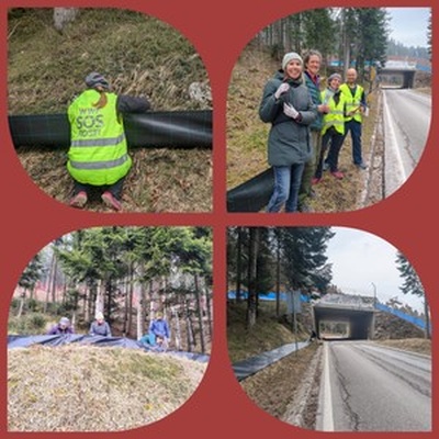 Il primo montaggio delle barriere a Malga Laghetto!