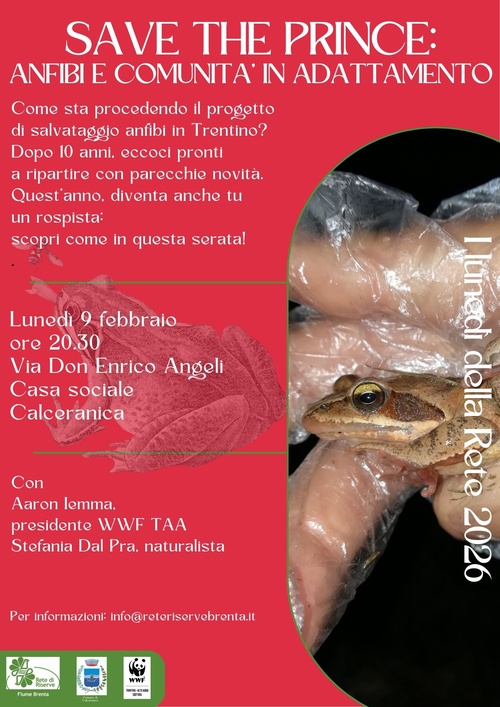 Save the Prince: anfibi e comunità in adattamento
