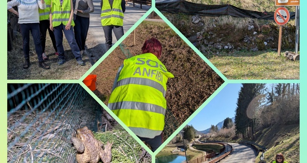 Posizionamento barriere a Laghi e Forni di Valdastico