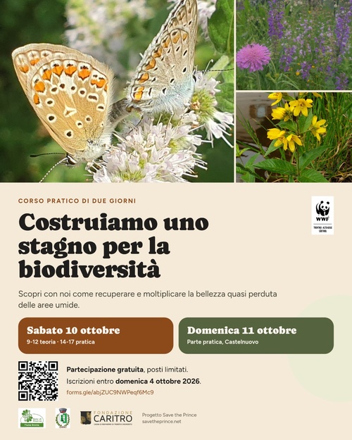 Costruiamo uno stagno per la biodiversità