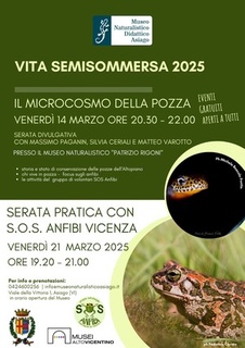 Vita semisommersa 2025!