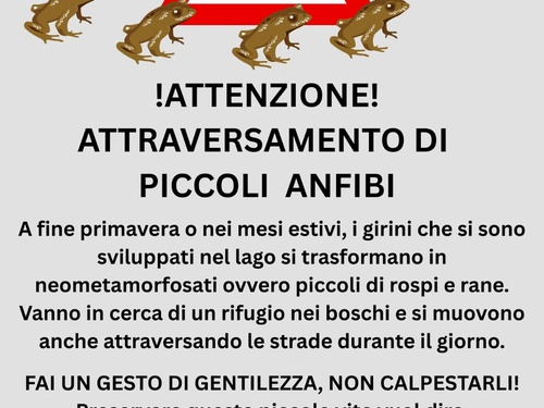 Cartello di attenzione