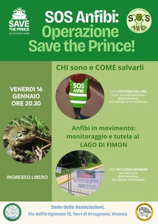 SOS ANFIBI: OPERAZIONE SAVE THE PRINCE!