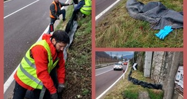 Volontari attivi a Loppio!