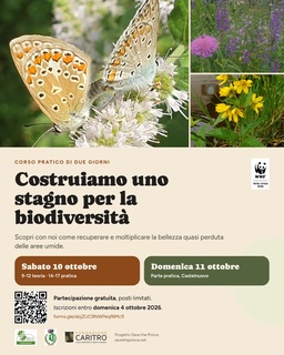 Costruiamo uno stagno per la biodiversità