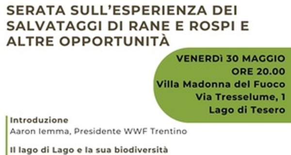 Gli anfibi a Lago di Tesero