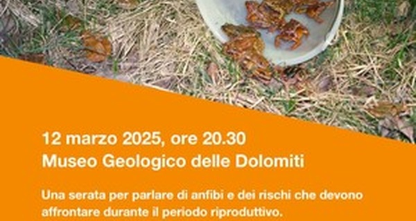 Serata a Predazzo