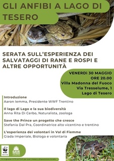 Gli anfibi a Lago di Tesero