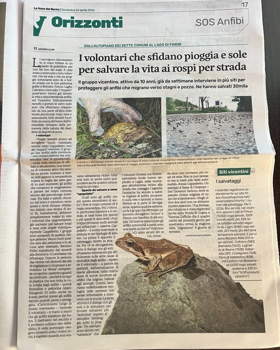 La voce dei Berici