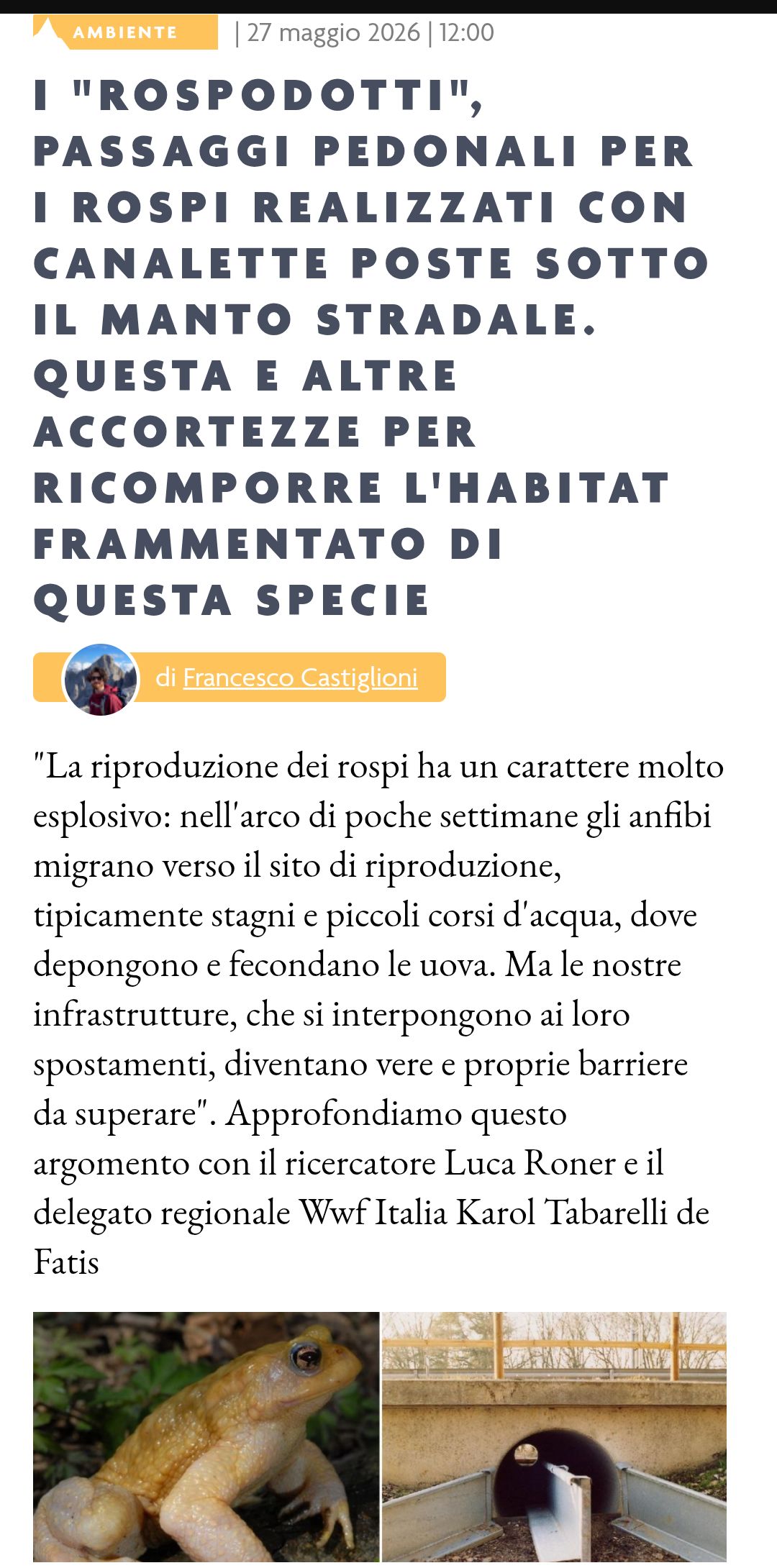 Il Dolomiti